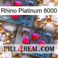 Rhino Platinum 8000 14